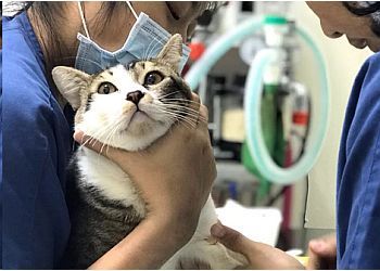 Clinic photo/Office of Dr. SINGVET ANIMAL CLINIC