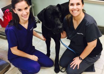 Clinic photo/Office of Dr. SISTERS HERNDON VETERINARY CLINIC