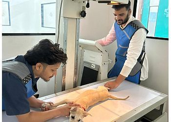 Clinic photo/Office of Dr. SKS VETERINARY HOSPITAL