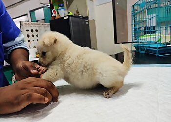 Clinic photo/Office of Dr. SKS VETERINARY HOSPITAL