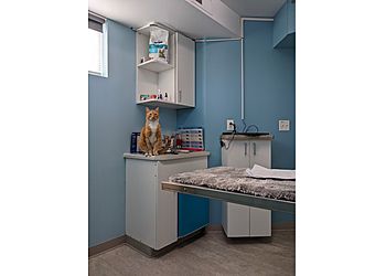 Clinic photo/Office of Dr. SOUTH BOULDER ANIMAL HOSPITAL