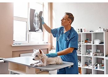 Clinic photo/Office of Dr. SOUTH HILLSDALE ANIMAL HOSPITAL