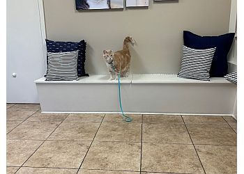 Clinic photo/Office of Dr. SOUTHERN HILLS ANIMAL HOSPITAL