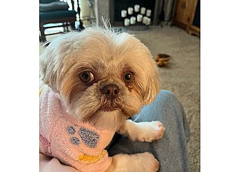 Clinic photo/Office of Dr. SPRUCE HILL VETERINARY CLINIC