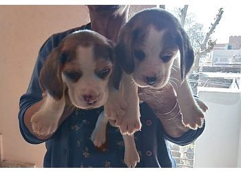 Clinic photo/Office of Dr. SRI SAI PET CARE CLINIC