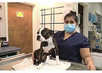 Clinic photo/Office of Dr. STORY ROAD ANIMAL HOSPITAL