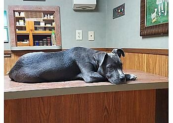 Clinic photo/Office of Dr. SUBURBAN ANIMAL HOSPITAL