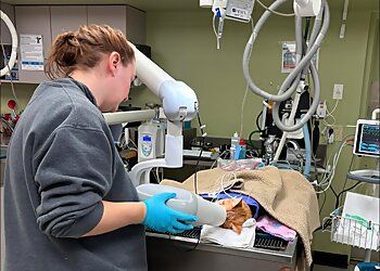 Clinic photo/Office of Dr. SUBURBAN ANIMAL HOSPITAL