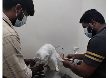 Clinic photo/Office of Dr. SUHANI VET CARE HOSPITAL