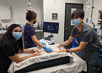 Clinic photo/Office of Dr. SUNNYCREST ANIMAL CARE CENTER