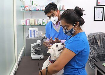 Clinic photo/Office of Dr. SURAT PET CLINIC