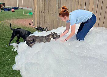 Clinic photo/Office of Dr. TAYLOR CROSSING ANIMAL HOSPITAL