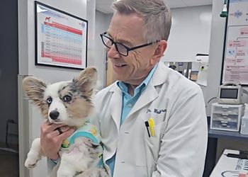 Clinic photo/Office of Dr. TEMPLE TERRACE ANIMAL HOSPITAL