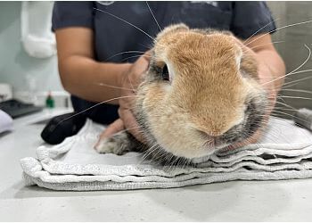 Clinic photo/Office of Dr. THE ANIMAL DOCTORS
