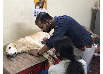 Clinic photo/Office of Dr. THE PETS CLINIC