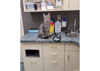 Clinic photo/Office of Dr. THUNDER BAY VETERINARY HOSPITAL