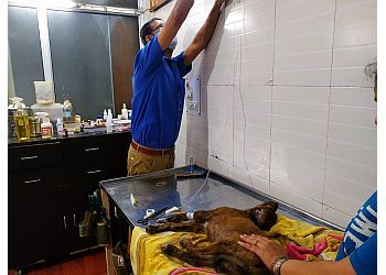 Clinic photo/Office of Dr. TIGER MEMORIAL PET CLINIC