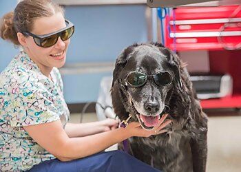 Clinic photo/Office of Dr. TOWN AND COUNTRY ANIMAL HOSPITAL