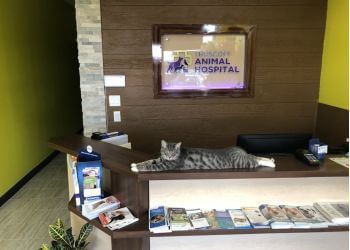 Clinic photo/Office of Dr. TRUSCOTT ANIMAL HOSPITAL