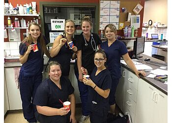 Clinic photo/Office of Dr. TUDOR GLEN VETERINARY HOSPITAL