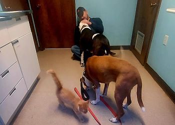 Clinic photo/Office of Dr. TURNER ANIMAL HOSPITAL