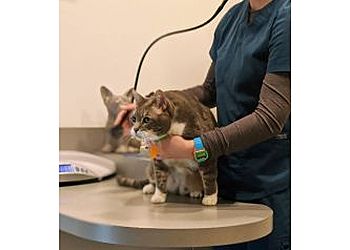 Clinic photo/Office of Dr. UNIVERSITY VET HOSPITAL