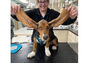 Clinic photo/Office of Dr. UNIVERSITY VETERINARY HOSPITAL &amp; DIAGNOSTIC CENTER