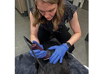 Clinic photo/Office of Dr. UPPER ARLINGTON VETERINARY HOSPITAL
