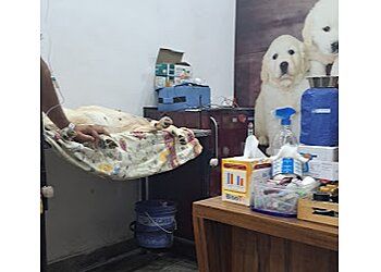 Clinic photo/Office of Dr. V. K.S PET CLINIC