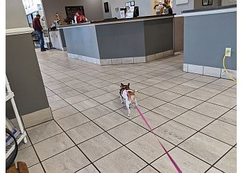 Clinic photo/Office of Dr. VALLEY RANCH PET CLINIC