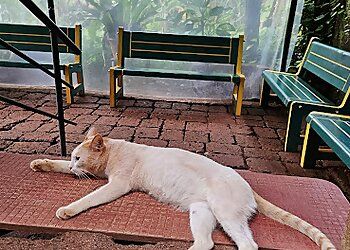 Clinic photo/Office of Dr. VANASUMA VETERINARY CLINIC