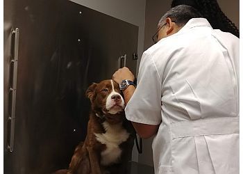 Clinic photo/Office of Dr. VCA AACACIA ANIMAL HOSPITAL