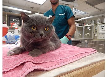 Clinic photo/Office of Dr. VCA ALEXANDRIA ANIMAL HOSPITAL