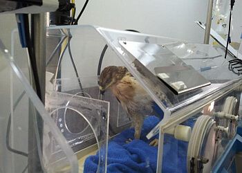 Clinic photo/Office of Dr. VCA CANADA CALGARY NORTH ANIMAL HOSPITAL