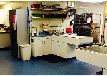 Clinic photo/Office of Dr. VCA GREATER SAVANNAH ANIMAL HOSPITAL