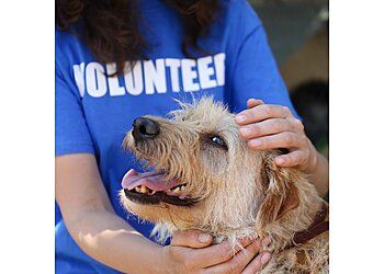 Clinic photo/Office of Dr. VCA JOLIET ANIMAL HOSPITAL