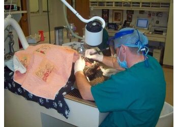 Clinic photo/Office of Dr. VCA OLATHE ANIMAL HOSPITAL