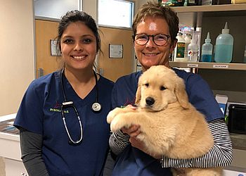 Clinic photo/Office of Dr. VCA PINNACLE ANIMAL HOSPITAL