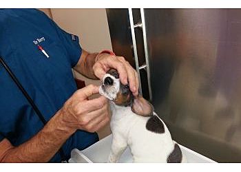 Clinic photo/Office of Dr. VCA TIMPANOGOS ANIMAL HOSPITAL