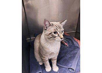 Clinic photo/Office of Dr. VETERINARY ASSOCIATES OF WESTVILLE