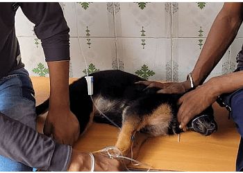 Clinic photo/Office of Dr. VETERINARY CLINIC