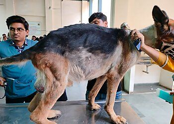 Clinic photo/Office of Dr. VETERINARY CLINICAL COMPLEX