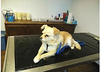 Clinic photo/Office of Dr. VETERINARY HOSPITAL ASSOCIATES