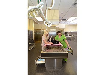 Clinic photo/Office of Dr. VETERINARY MEDICAL CENTER OF ST. LUCIE COUNTY