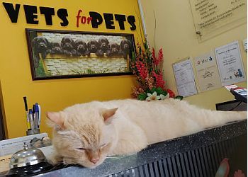 Clinic photo/Office of Dr. VETS FOR PETS