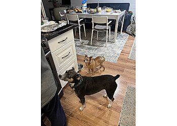 Clinic photo/Office of Dr. VISTA PET HOSPITAL