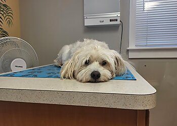 Clinic photo/Office of Dr. WALBERT ANIMAL HOSPITAL