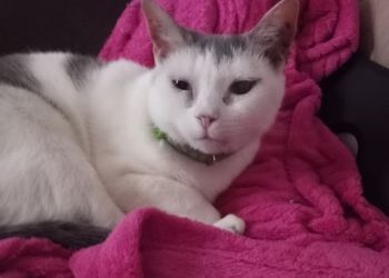 Clinic photo/Office of Dr. WATERBURY VETERINARY HOSPITAL