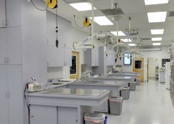 Clinic photo/Office of Dr. WATERHOUSE ANIMAL HOSPITAL INC.