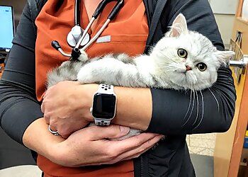 Clinic photo/Office of Dr. WEST PARK ANIMAL HOSPITAL